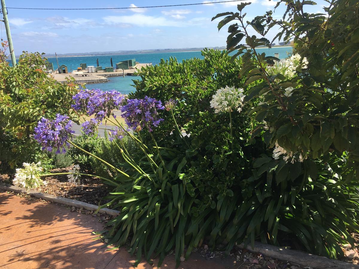 The Ark Stanley Luxury Bed And Breakfast Esterno foto